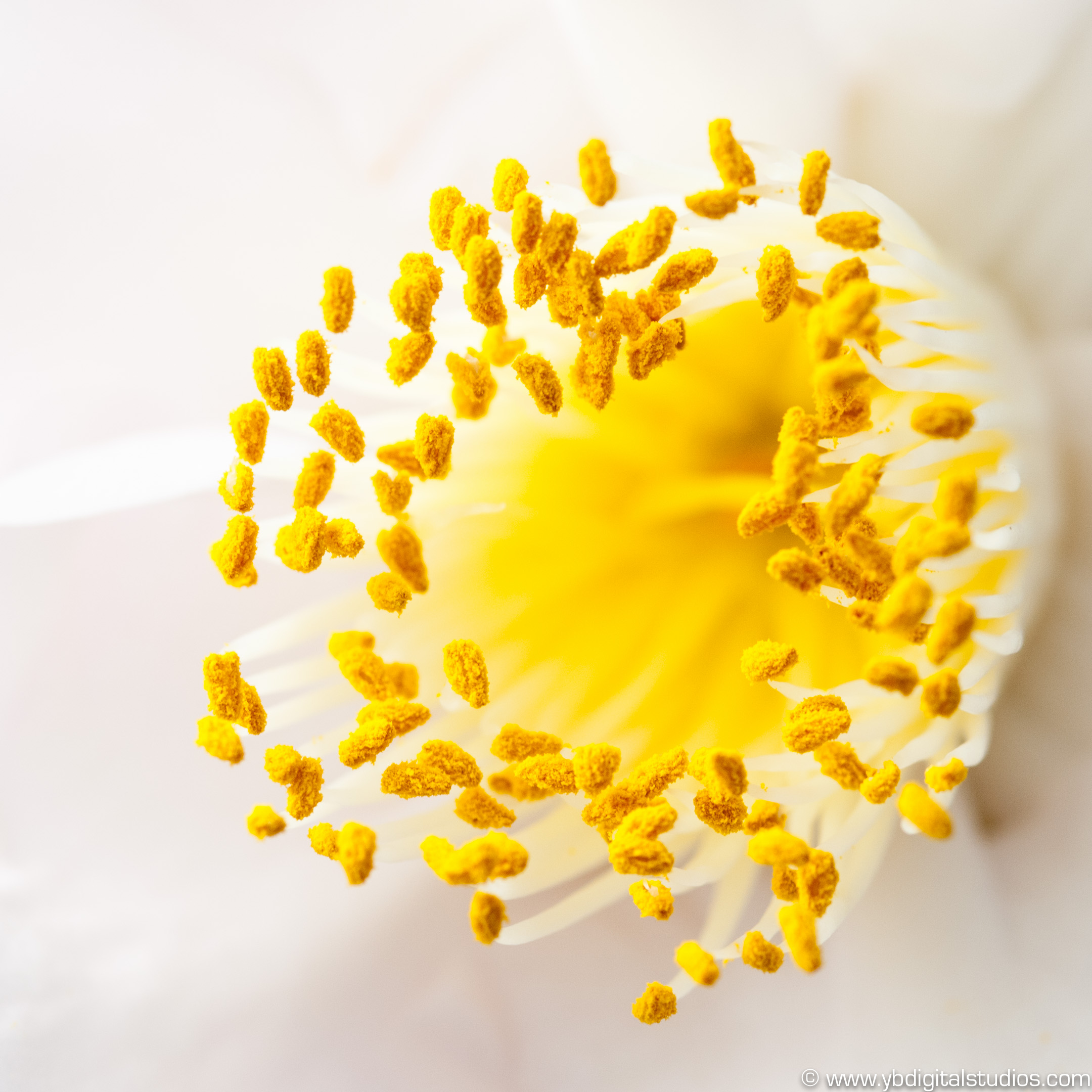 A History of Spring Cleaning RedBin Blog